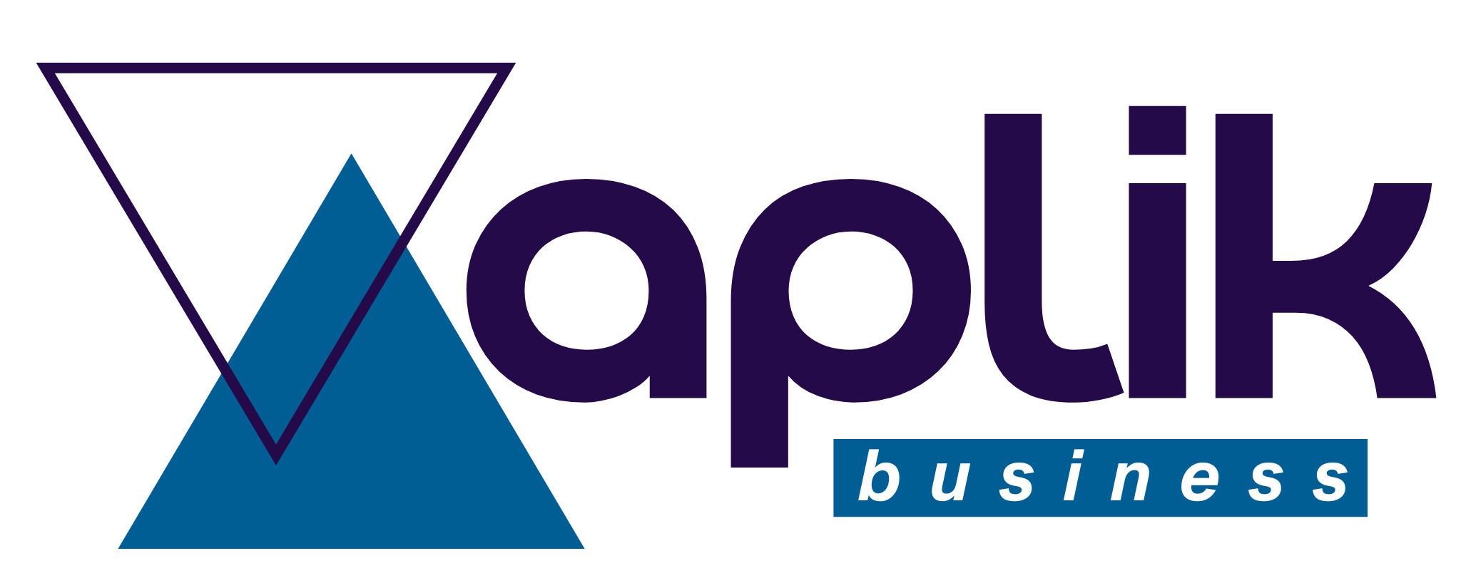 Aplik Business